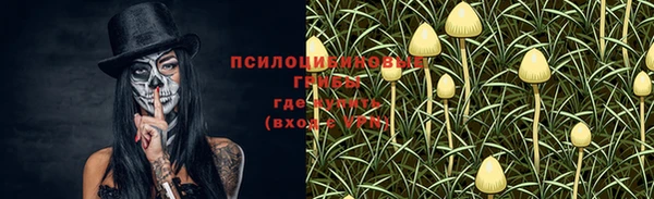 стафф Алексеевка